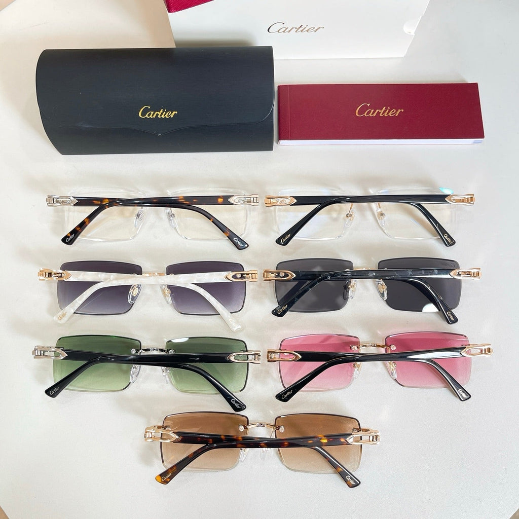 Cartier Sunglasses – CT0582S